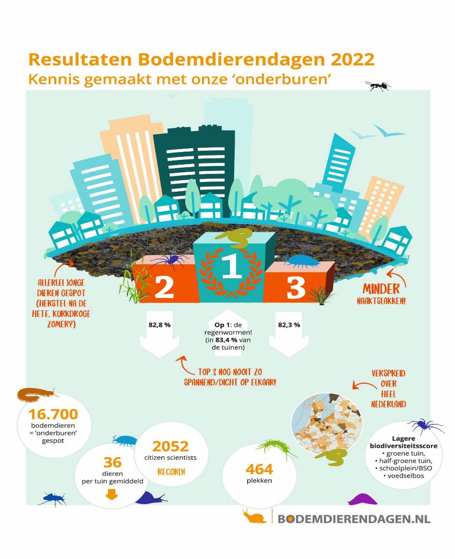 Resultaten bodemdierendagen 2022